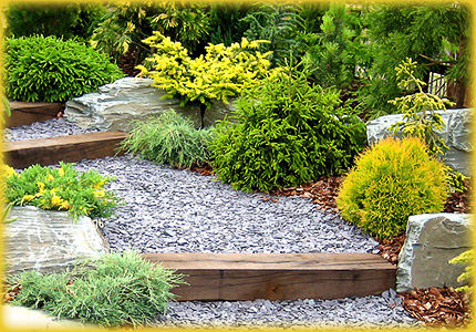 Landscape Design & Build