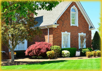 Professional Property Maintenance